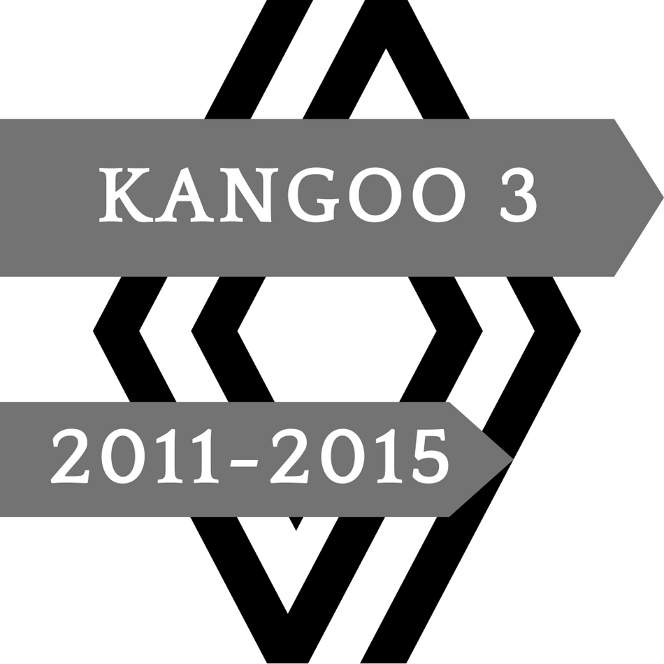 Kangoo 3