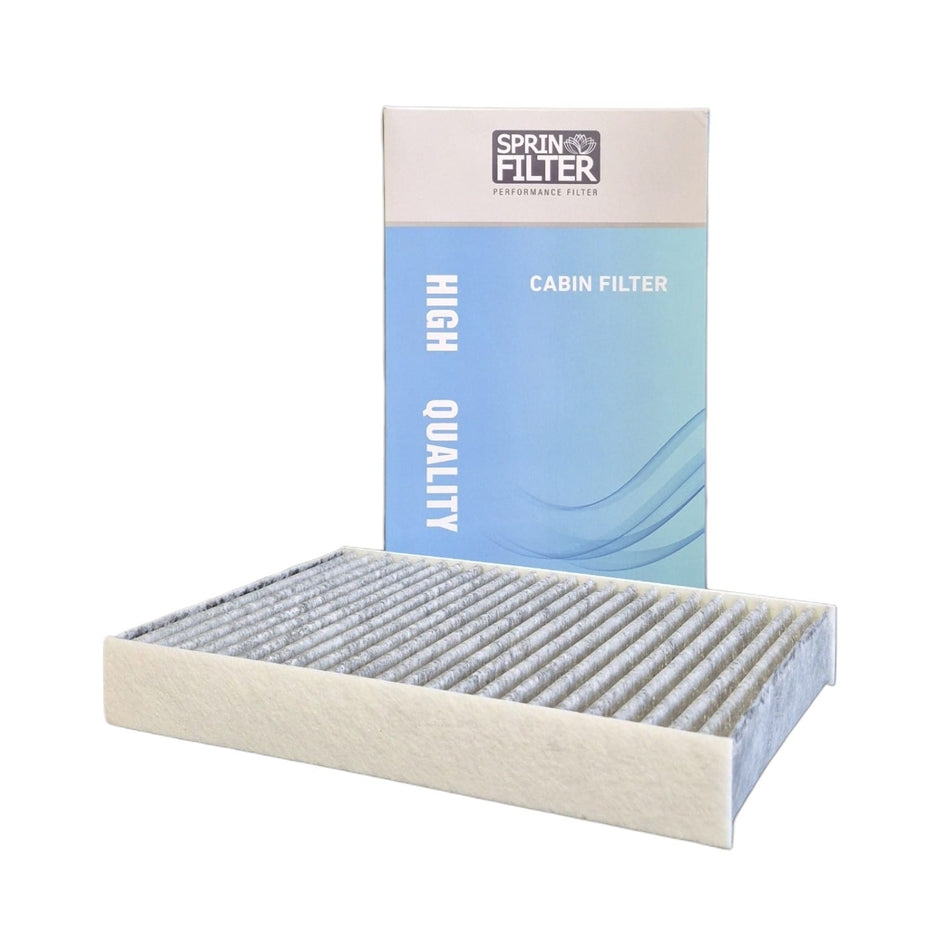 Filtro de polen Fluence 1.6 K4M+ 2016-2020