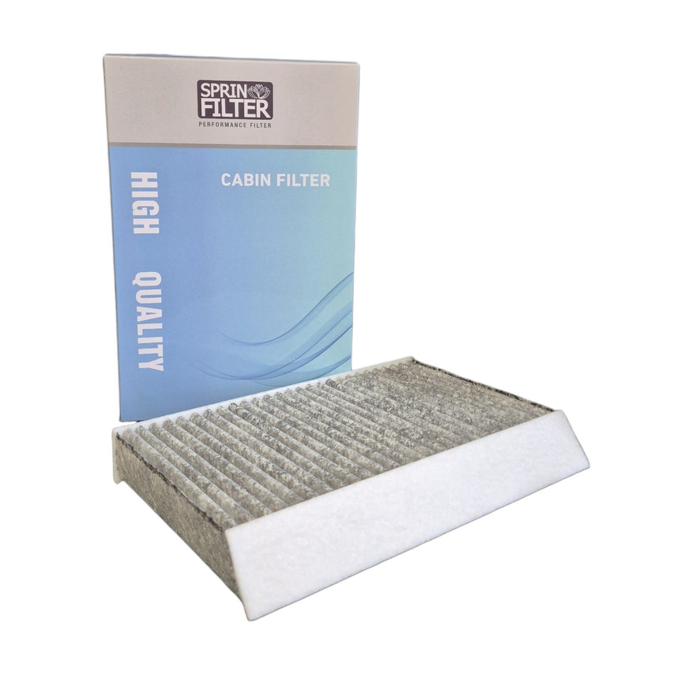 Filtro de polen Fluence 2.0 M4R AT 2011-2015