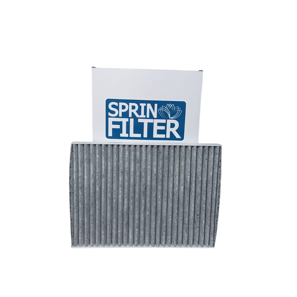 Filtro de polen Koleos 2.5 2TR25 MT 2009-2015